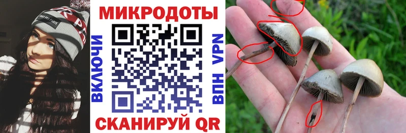 Псилоцибиновые грибы прущие грибы  Ахтырский 